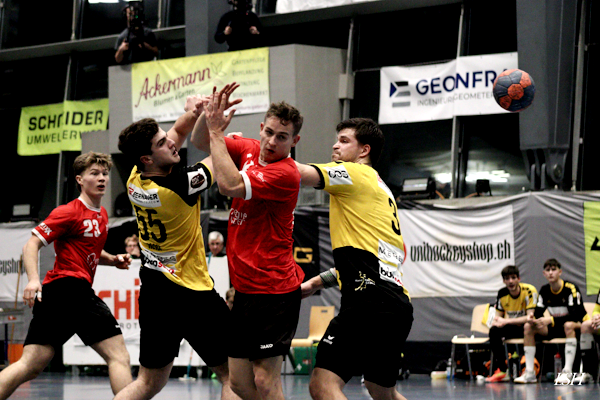 Uster Games Handball Action